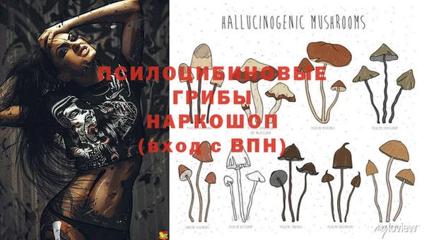 герыч Абдулино